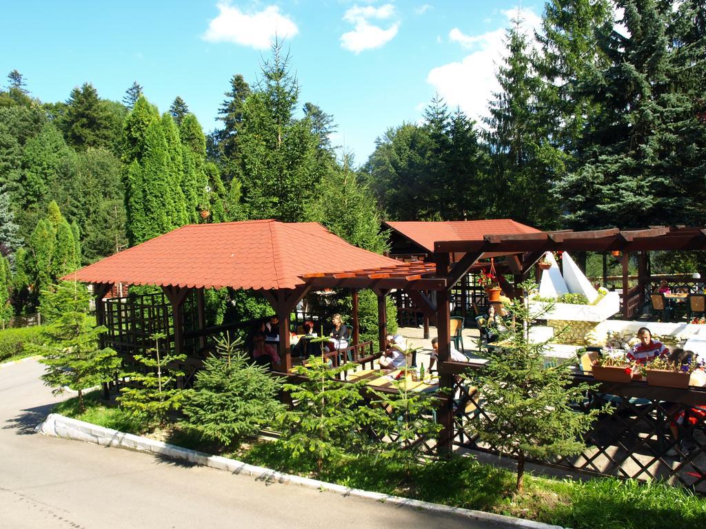 Hotel Bucegi Portile Regatului Paraul Rece Ngoại thất bức ảnh