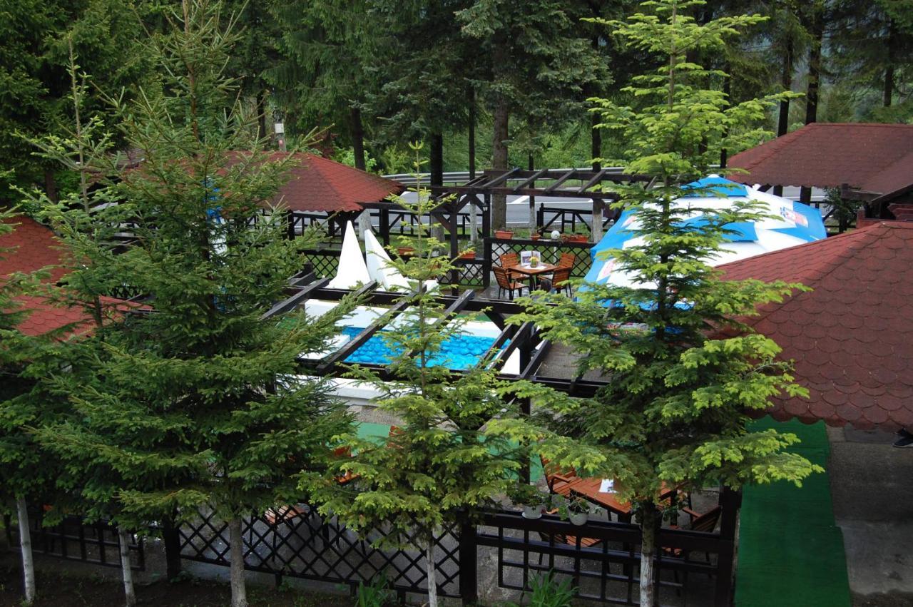 Hotel Bucegi Portile Regatului Paraul Rece Ngoại thất bức ảnh